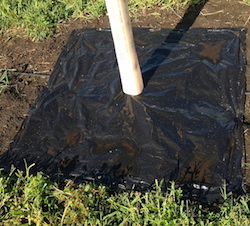 SunFlex Mulch Mat BSU 250.JPG